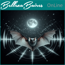 Curso Online de Energía del Eco del Murciélago